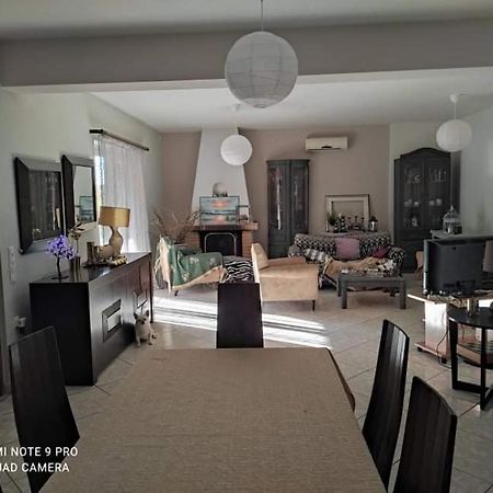 阿纳维索斯Pleasant House With Garden!!别墅 外观 照片