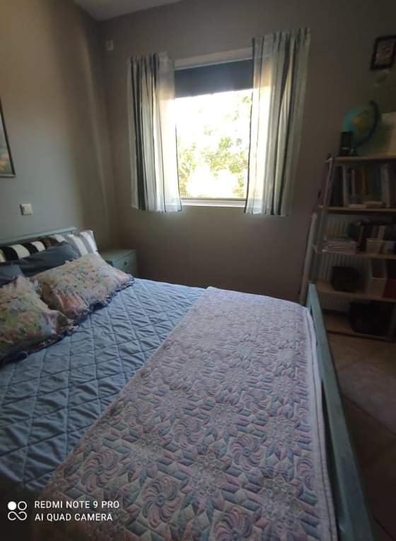 阿纳维索斯Pleasant House With Garden!!别墅 外观 照片