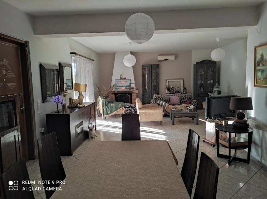 阿纳维索斯Pleasant House With Garden!!别墅 外观 照片